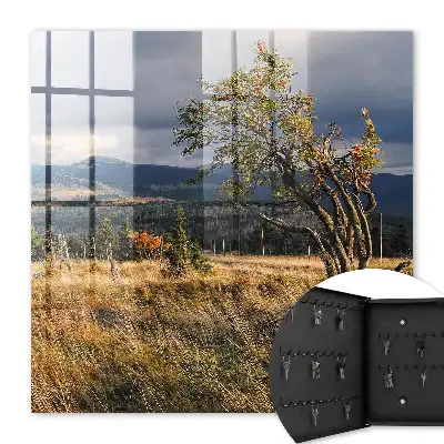 Herfstlandschap met bomen en lucht