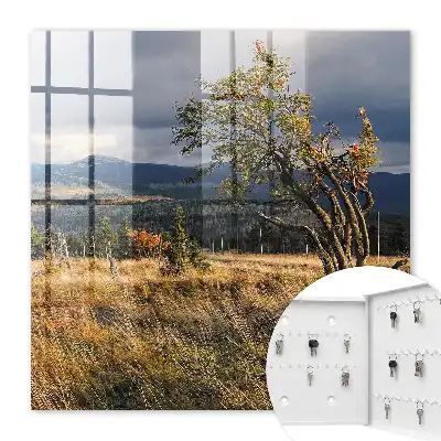 Herfstlandschap met bomen en lucht