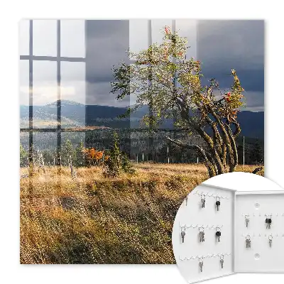 Herfstlandschap met bomen en lucht