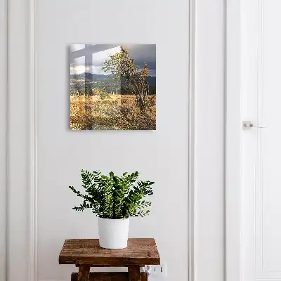 Herfstlandschap met bomen en lucht