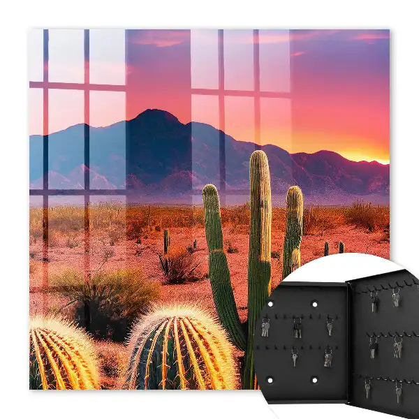 Woestijnlandschap met cactussen