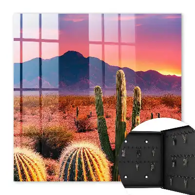 Woestijnlandschap met cactussen