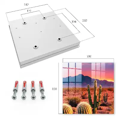 Woestijnlandschap met cactussen