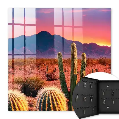 Woestijnlandschap met cactussen