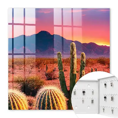 Woestijnlandschap met cactussen
