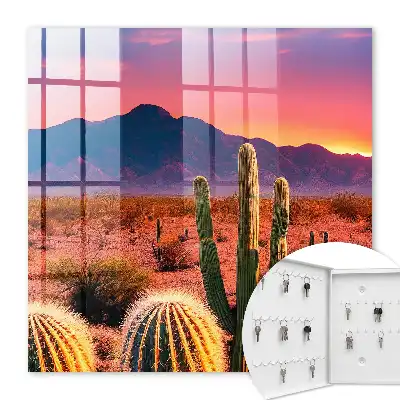 Woestijnlandschap met cactussen