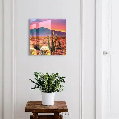 Woestijnlandschap met cactussen