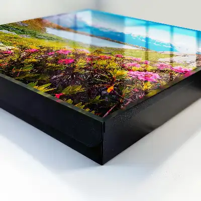 Een berglandschap vol kleuren