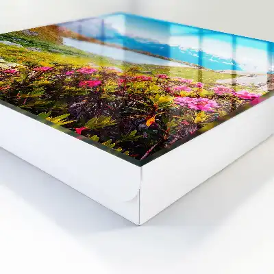 Een berglandschap vol kleuren