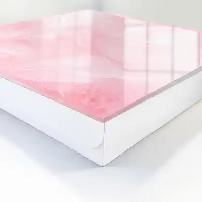 Roze veren decoratie