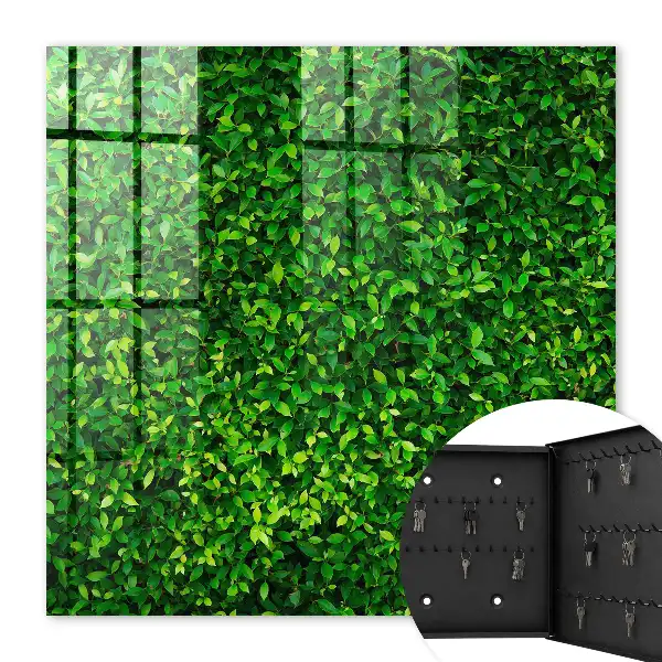 Een groene tuin brengt rust