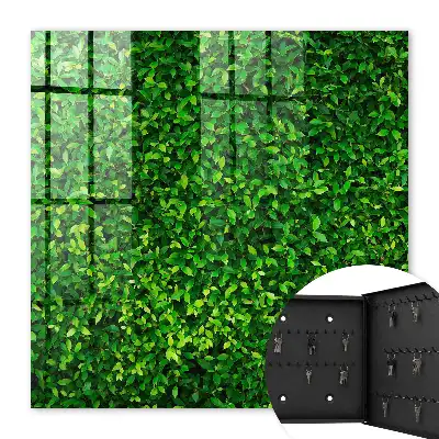 Een groene tuin brengt rust