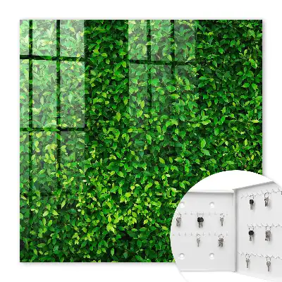 Een groene tuin brengt rust