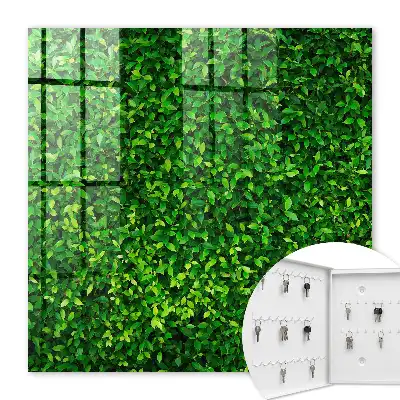 Een groene tuin brengt rust