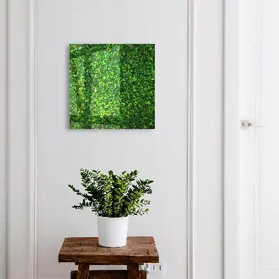 Een groene tuin brengt rust