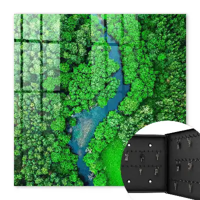 Groene bossen harmonieus geheel