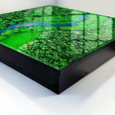 Groene bossen harmonieus geheel