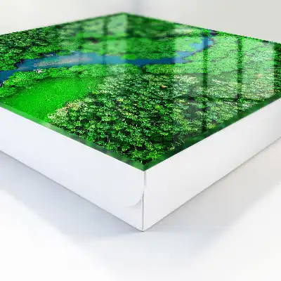 Groene bossen harmonieus geheel