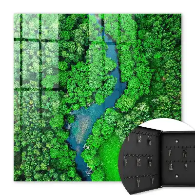 Groene bossen harmonieus geheel