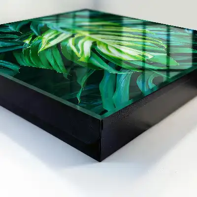 Groene bladeren in verschillende tinten