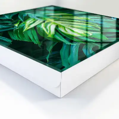 Groene bladeren in verschillende tinten