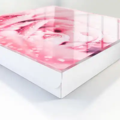 Een delicate rozengeur met dauwdruppels