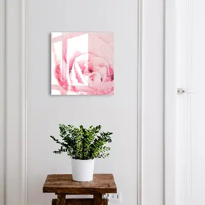 Een delicate rozengeur met dauwdruppels