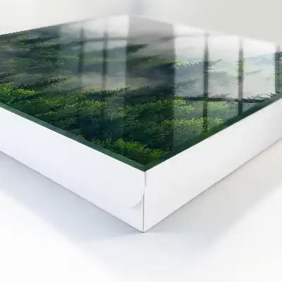 Mistig bos met een mysterieuze atmosfeer