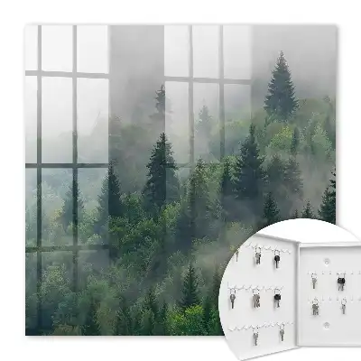 Mistig bos met een mysterieuze atmosfeer