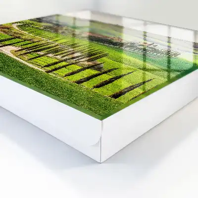 Toscaans landschap met heuvels en cipressen