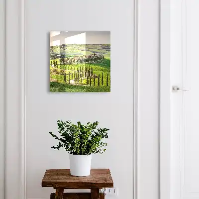Toscaans landschap met heuvels en cipressen