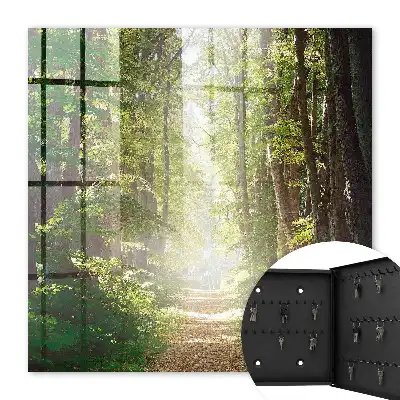 Boslandschap met groene bomen