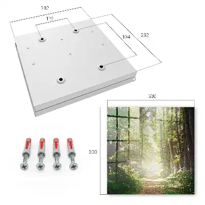Boslandschap met groene bomen