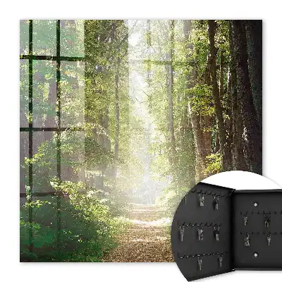 Boslandschap met groene bomen