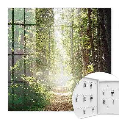 Boslandschap met groene bomen
