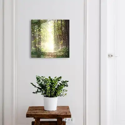 Boslandschap met groene bomen