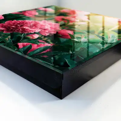Roze pioenrozen in een natuurlijke omgeving
