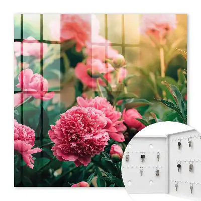 Roze pioenrozen in een natuurlijke omgeving