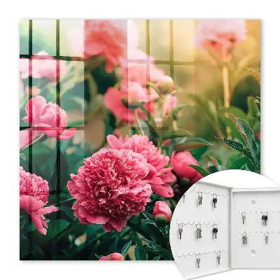 Roze pioenrozen in een natuurlijke omgeving