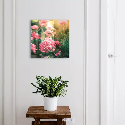 Roze pioenrozen in een natuurlijke omgeving