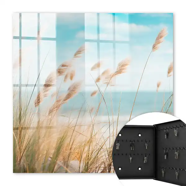 Zomerstrand met zeegras