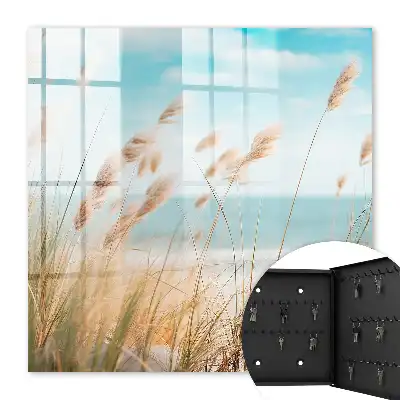 Zomerstrand met zeegras