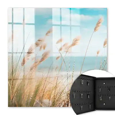 Zomerstrand met zeegras