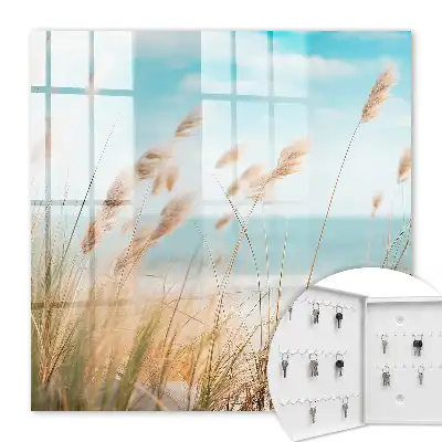 Zomerstrand met zeegras
