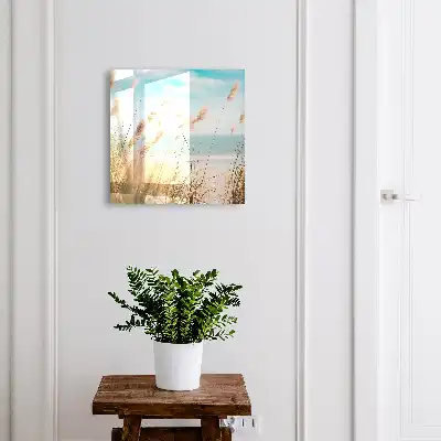 Zomerstrand met zeegras