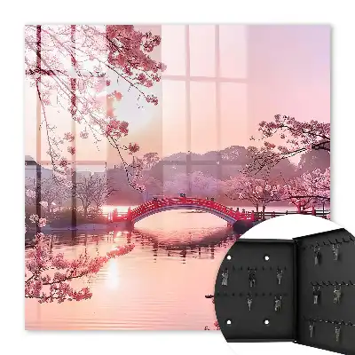 Lentebrug met kersenbomen en zon