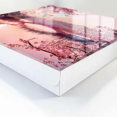 Lentebrug met kersenbomen en zon