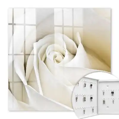 Witte roos met subtiele bloemblaadjes