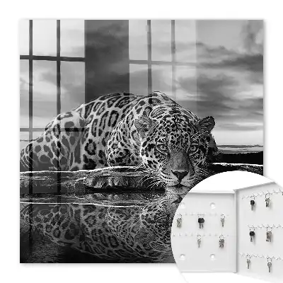 Jaguars in het water zwart-wit contrast