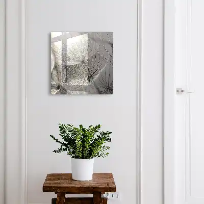 Paardenbloemzaden